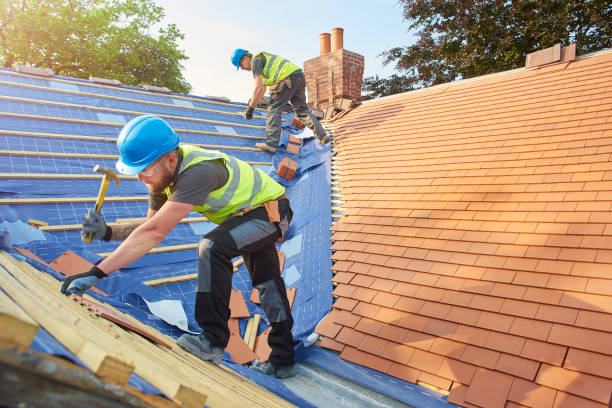 Best Sheet Metal Roofing  in Walkertown, NC